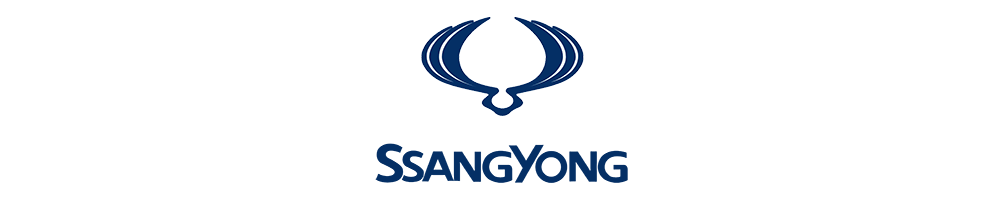 Haki holownicze Ssangyong TORRES